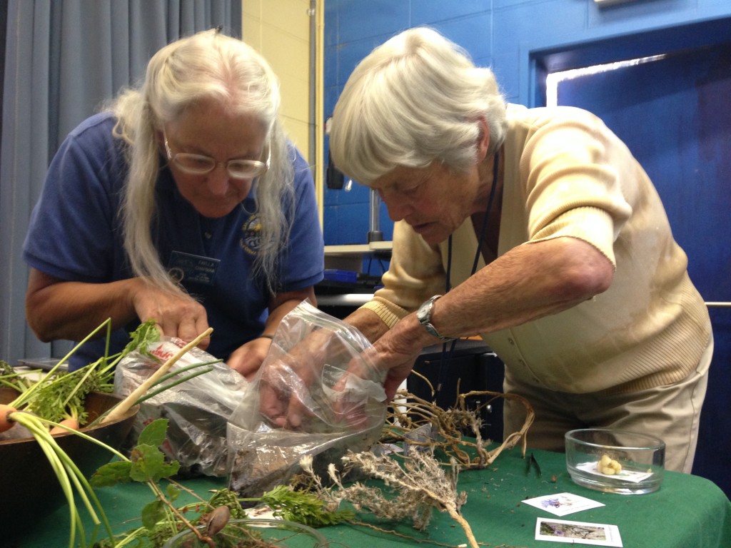 Faylla Chapman (left) and Barb Renshaw (right) look through a packed specimen table for interesting plants to share with participants.