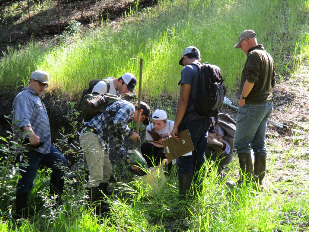 Our Field Technician, Evan, demonstrates for volunteers how to collect macroinvertebrates using a net.