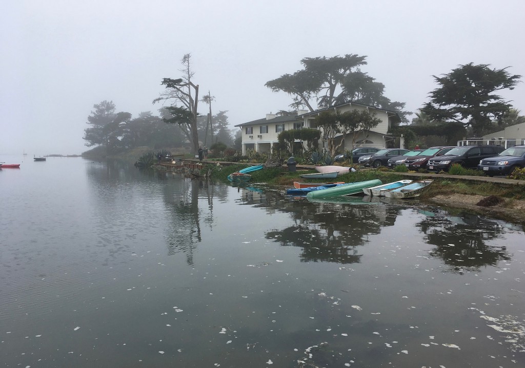 This photograph showing  boats at Baywood during last year's high tide was taken and uploaded to the California King Tide's Flickr site by docentjoyce. 