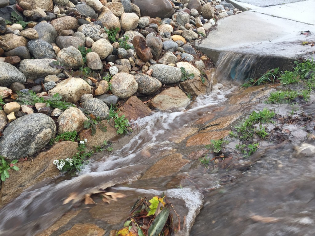 Stormwater runs down the gutter along Upper State Park Road in Morro Bay. 