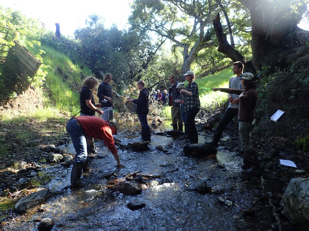 Karissa points out riparian features while volunteers practice taking water depth and rock measurements.