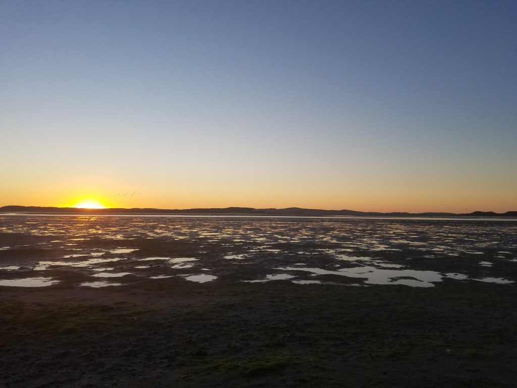 Low tides are the easiest way to conduct this survey, which has meant we have seen some spectacular sunsets.