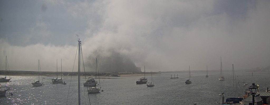 Even when Morro Rock is shrouded in fog, the sea lion dock is usually visible. 