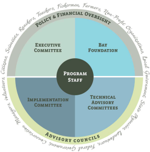 Board and Committee Structure