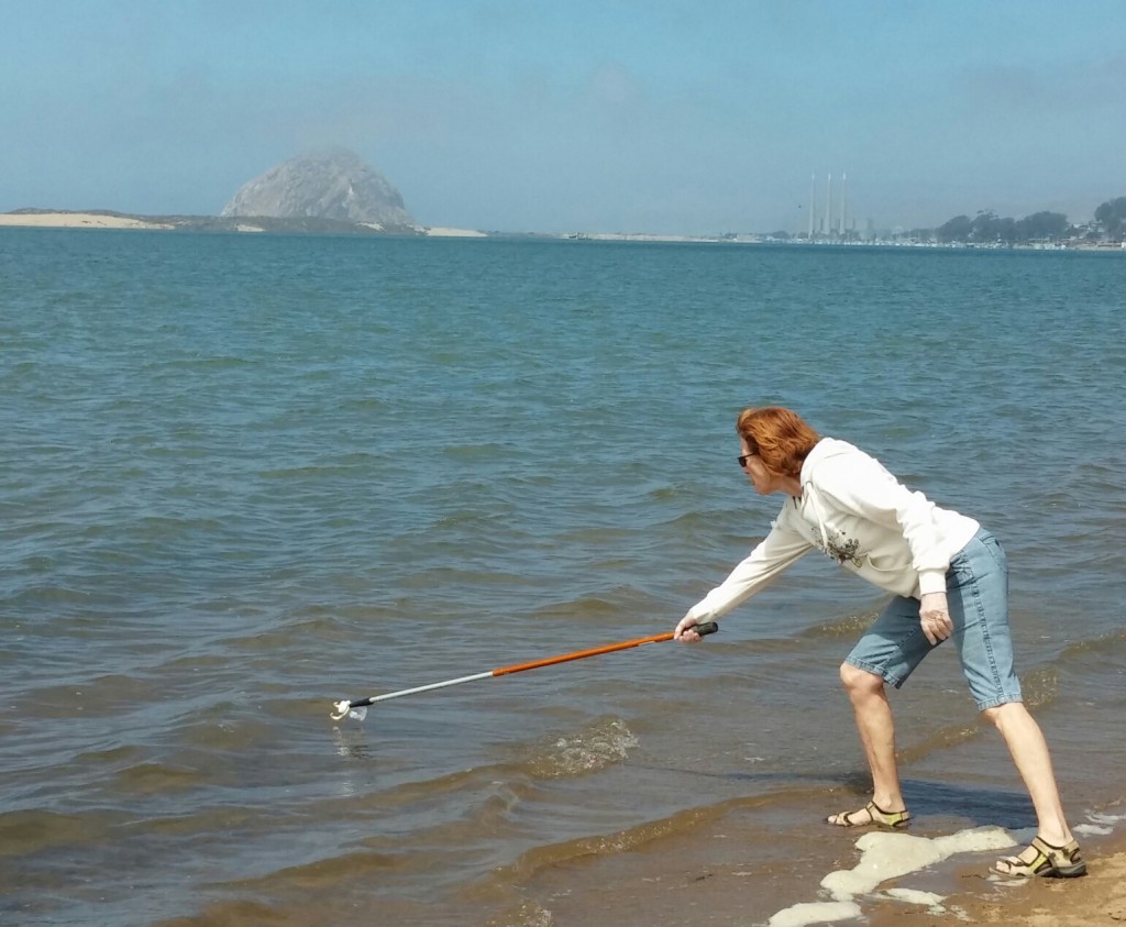 Charlotte Kelly collects a water sample from Shark Inlet for bacteria testing