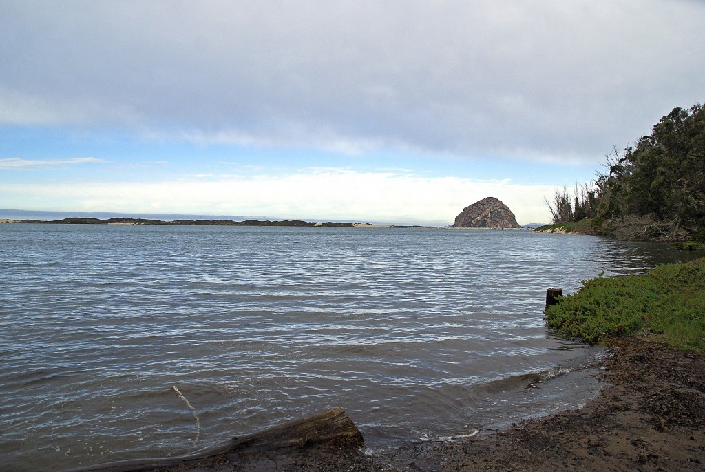 High Tide at Windy Cove