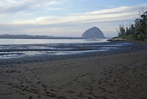 Low Tide at Windy Cove