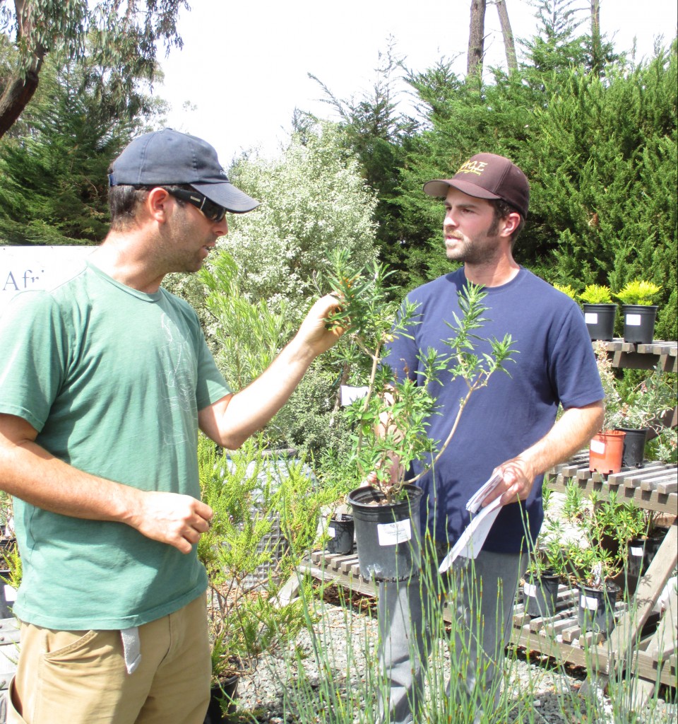 Brandon Taylor, Nursery Manager on right) talks about the low water needs of the Lions tail plant