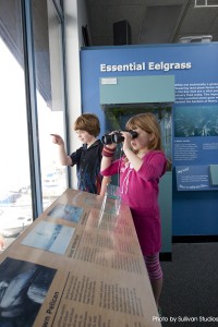 Visitors can use the Estuary Nature Center to get a close look at Morro Rock or the many birds, otters, and sea lions swimming by