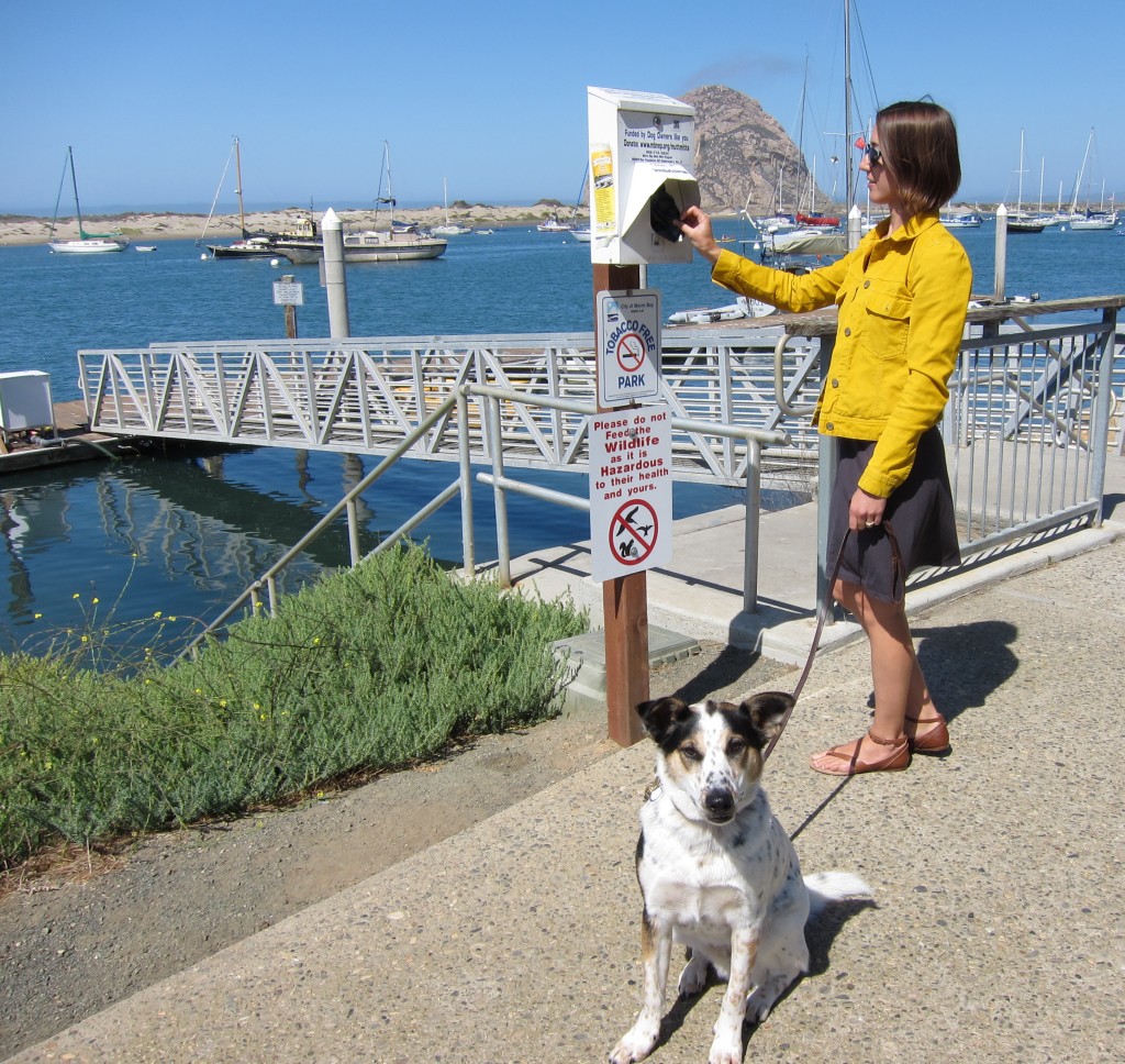 Mutt Mitts dispenser in Tidelands Park.