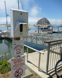 Mutt Mitts dispenser by the bay