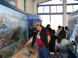 Visitors examine our estuary mural and learn about the bay through interactive display.