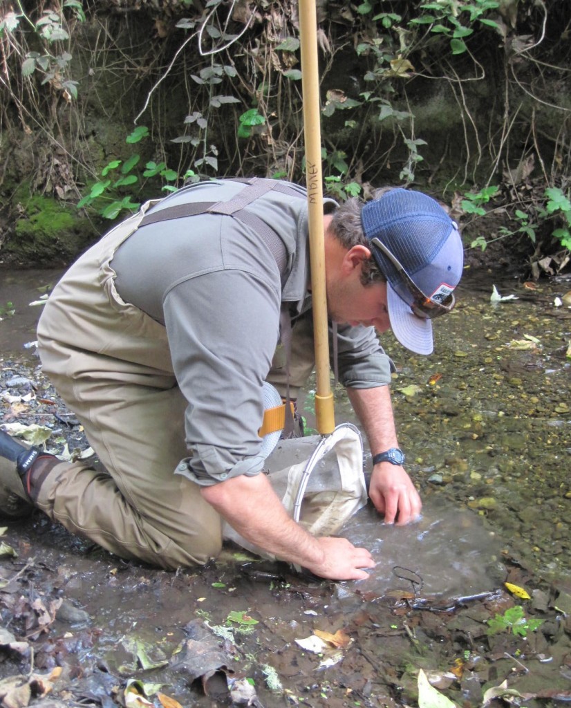 Volunteer collects macroinvertebrates from the stream