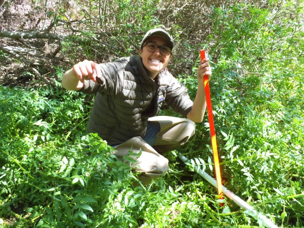 Volunteer surveys stream