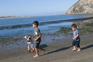 Boys and BB playing by the bay