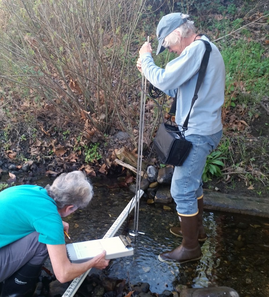 water quality monitoring