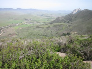 Looking inland from the top of Black Hill in spring.