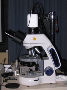 Small, but mighty, the new microscope allows museum staff to record video and take still pictures through the scope, and save them to the computer for future reference. Photograph courtesy of the Morro Bay Natural History Museum.