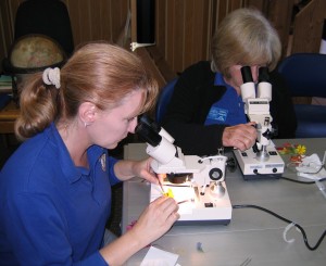 Even the docents get involved. Christine Lanier (left) and Cheryl Powers (right) look at flowers under a dissecting scope during the “Mayflowers” Saturday Scientists program, which is typically held near Mother’s Day each year. Photograph courtesy of the Morro Bay Natural History Museum.