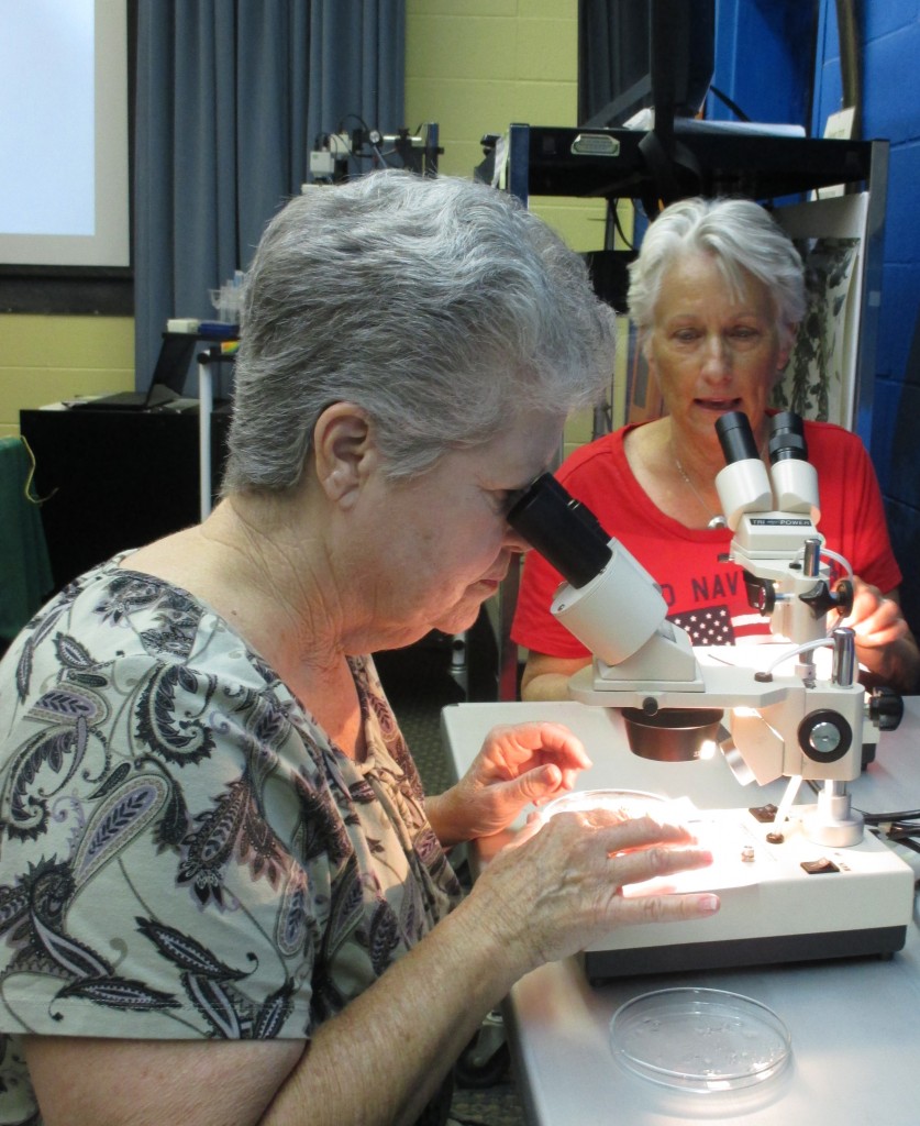 Docent Anne Godsey (right) and her friend (left) talk about the new perspective the microscopes give them on ordinary things.