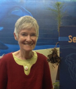 Vicky Johnsen, a docent at the Elfin Forest, brought in several root samples from her yard, including this Monterey Pine. She is wearing a “Roots” pin made by Barb Renshaw’s granddaughter, Bridget, for this occasion.