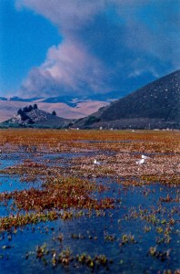 The smoke plume grows as the Highway 41 fire spreads. Photograph by Ruth Ann Angus, August 1994.