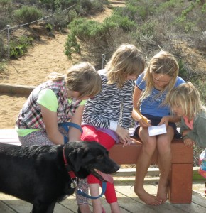 A group of students note the plants and animals they've seen on a walk through the elfin forest.