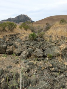 Walters Creek restoration section with Hollister Peak in the background.