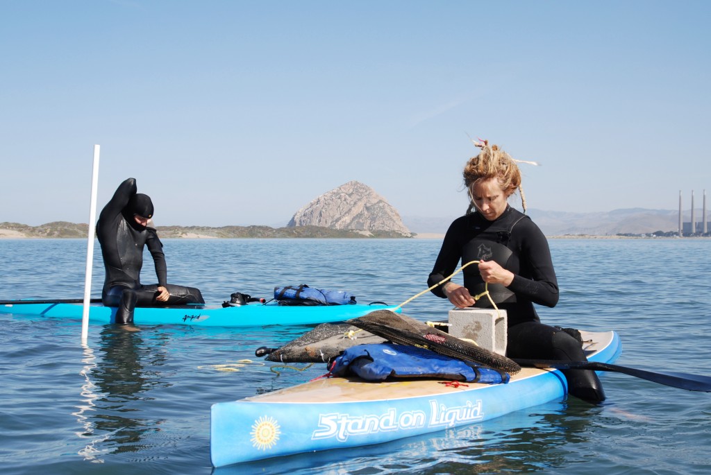 Restoration Projects Manager, Jen Nix (on right) readies materials for our eelgrass seed dispersal project. 