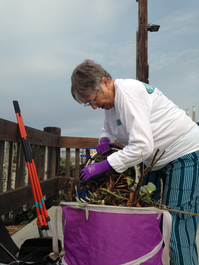 A volunteer empties her bucket of yard debris into a large portable container at the end of the day