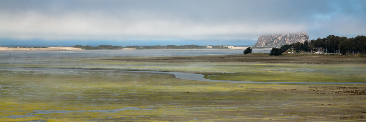 Morro Bay Estuary, Sandspit, Morro Rock, and the Morro Bay, CA S