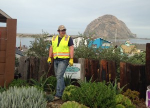 Thomas, a long-term volunteer with Morro Bay in Bloom, surveys the succulent bed at the top of Centennial Parkway’s staircase.