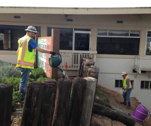 Volunteers work on the hillside at Centennial Parkway.