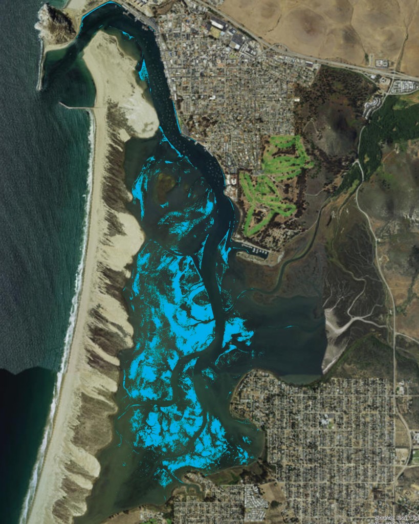 This map from 2007 shows the extent of eelgrass in Morro Bay before the most-recent decline. (Eelgrass beds are marked in blue.) 