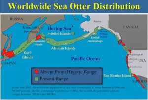 This map shows the present sea otter range, highlighting the areas of the historic sea otter range that are no longer populated.