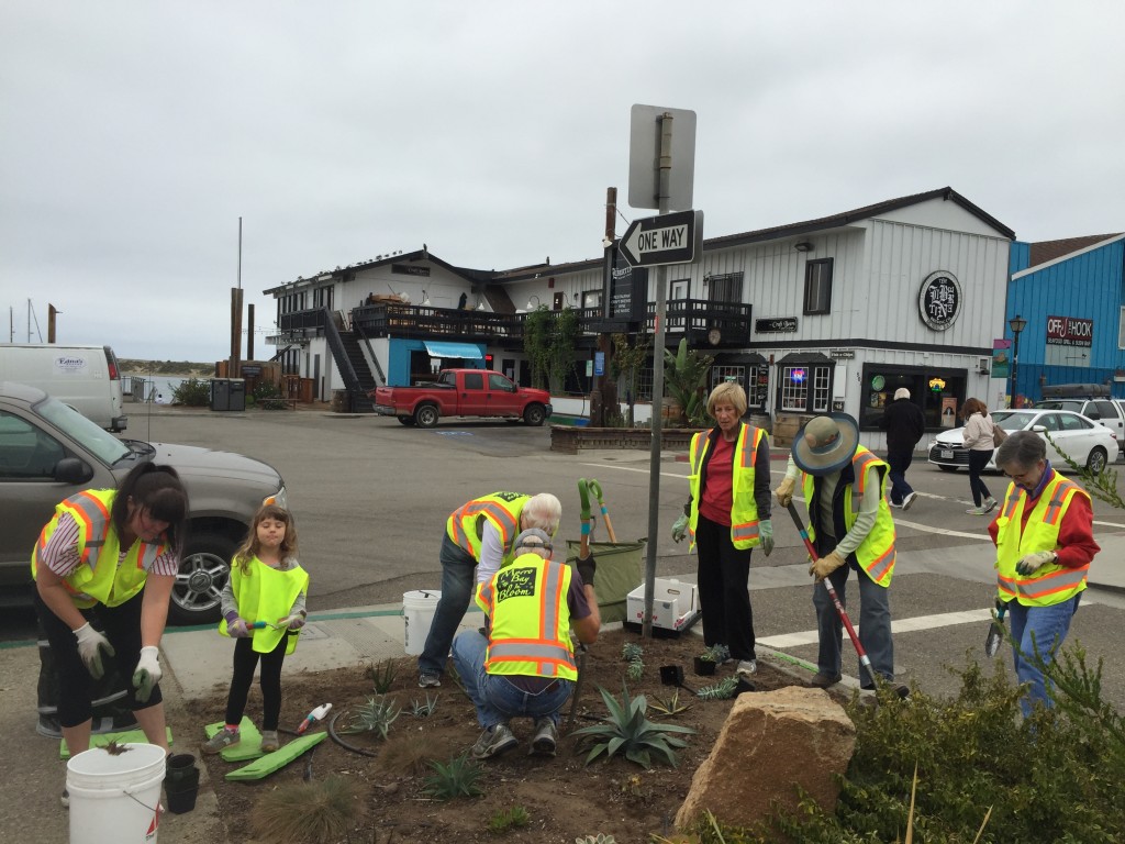 At the final cleanup of Centennial Parkway, 10 volunteers weeded and then planted succulents. 