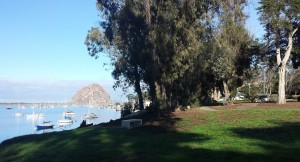 The view from Bayshore Bluffs Park. Photograph courtesy of Mary Hudson.