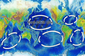 There are five major garbage patches around the globe, where the currents form gyres and trap plastics and other debris.