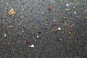 Microbeads and other microplastics show up on beaches worldwide.