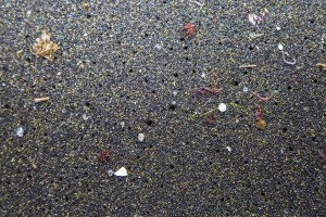 Microbeads and other microplastics show up on beaches worldwide.