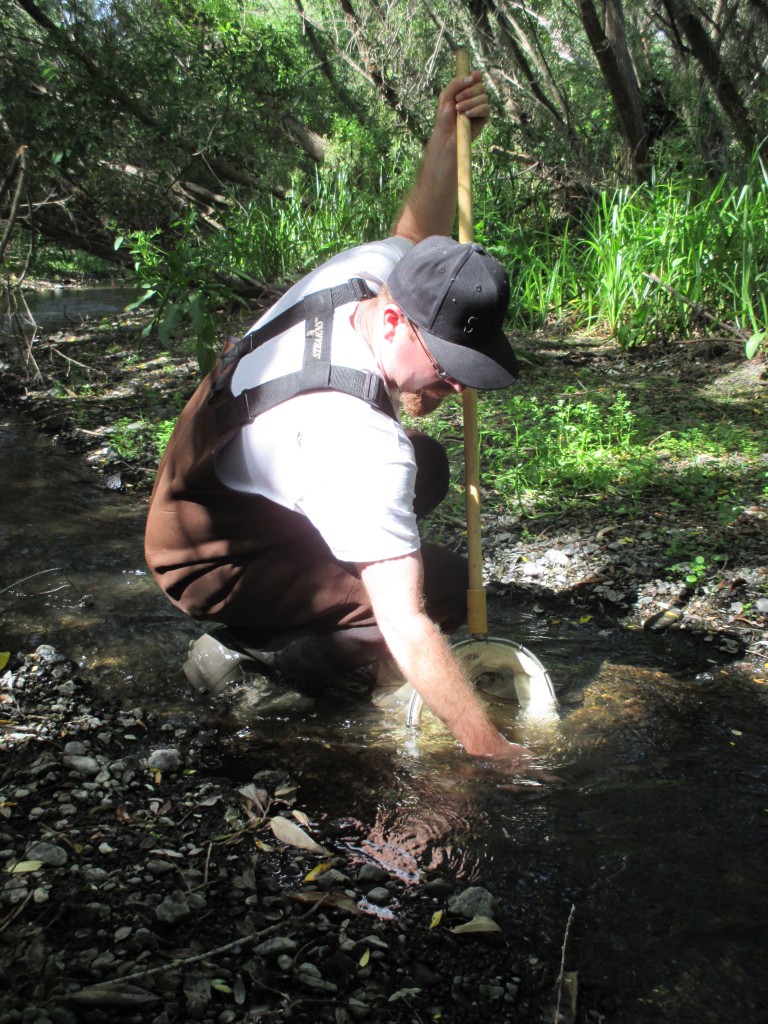 Charles helps with our macroinvertebrate survey.