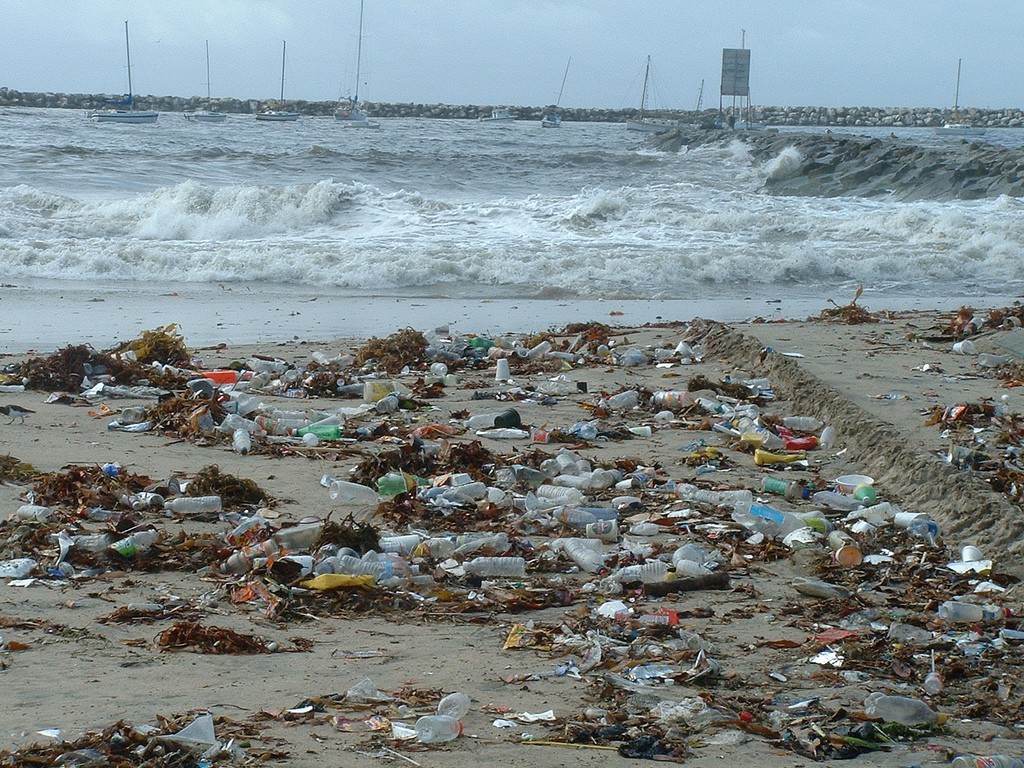 This load of plastic bottles and other trash were deposited by Ballona creek in Los Angeles County. Photograph by Heal the Bay.