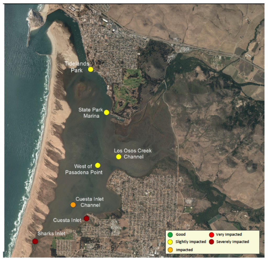 At both Sharks Inlet and Cuesta Inlet, nearly 95% of DO measurements were less than 7 mg/L, which is the level determined to be protective of aquatic life.