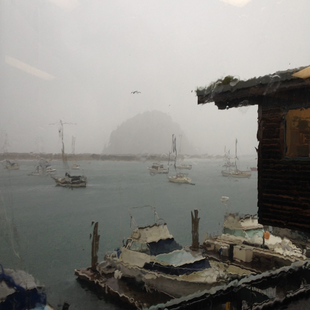 The view from the Estuary Program office during a recent rainstorm.