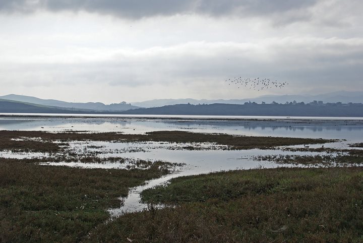 This photograph, courtesy of Ruth Ann Angus, shows the salt marsh during a King Tide.