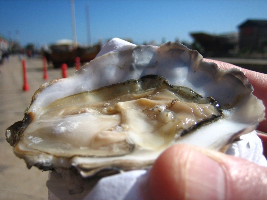 Oyster photograph by Jeremy Keith.
