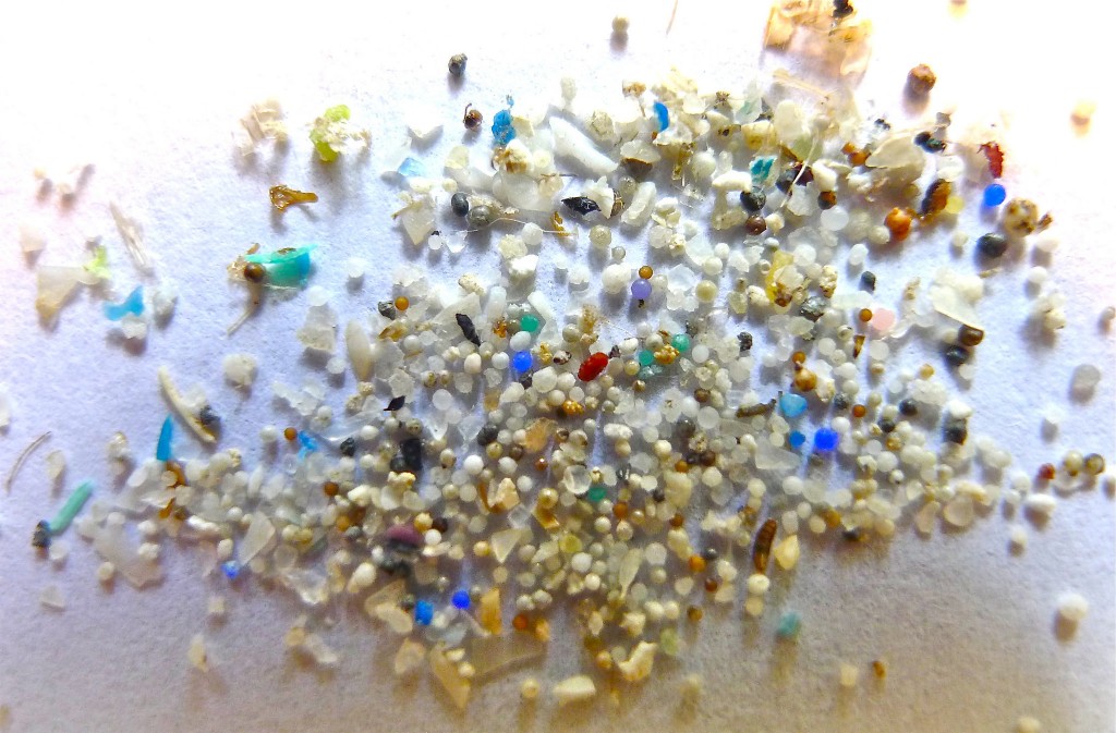 Microplastics. Photograph by 5gyres, Oregon State University.