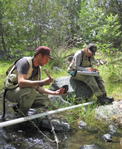 Estuary Program staff complete a habitat assessment during a bioassessment survey in 2015.