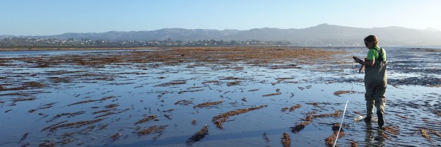 Morro Bay Mutt Mitts to the Rescue - Morro Bay National Estuary Program