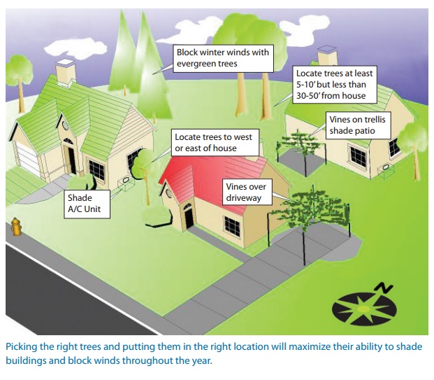 Diagram and caption from the US EPA’s “Reducing Urban Heat Islands: Compendium of Strategies,” which has a lot of great information about the benefits of trees. 